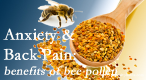 Dr. Butwell presents info on the benefits of bee pollen on cognitive function that may be impaired when dealing with back pain.
