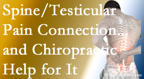 Dr. Butwell shares recent research on the connection of testicular pain to the spine and how chiropractic care helps its relief.