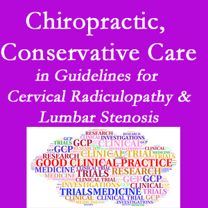 Georgetown chiropractic care for cervical radiculopathy and lumbar spinal stenosis is often ignored in medical studies and guidelines despite documented benefits. 