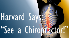 Georgetown chiropractic for back pain relief urged by Harvard