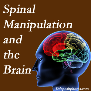 Dr. Butwell [shares research on the benefits of spinal manipulation for brain function. 